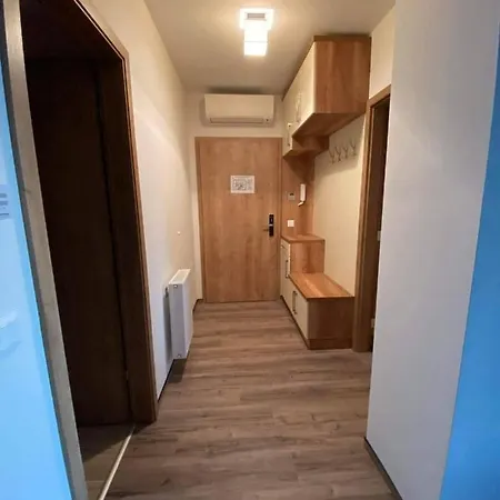 Apartment Dandelion *